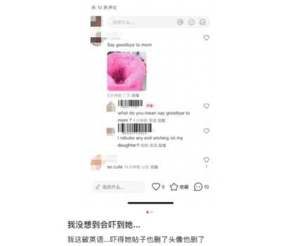 小红书被海泡了一下